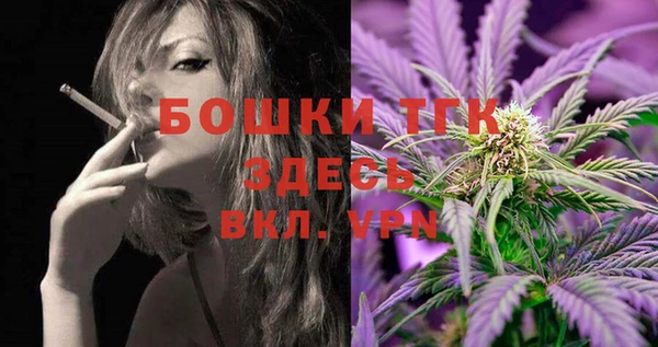 индика Балахна
