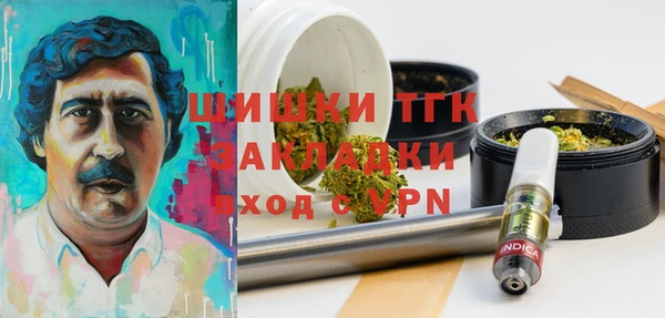 индика Балахна